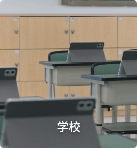 打通小升初、中考进阶与研学实践